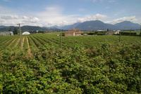 Unterwegs mit dem Canadian