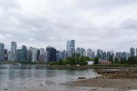 Das Panorama Vancouvers vom Stanley Park aus