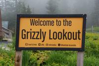 Willkommen bei Grinder und Coola