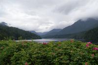 Blick vom Cleveland Damm