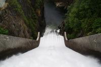 Cleveland Damm in Vancouver