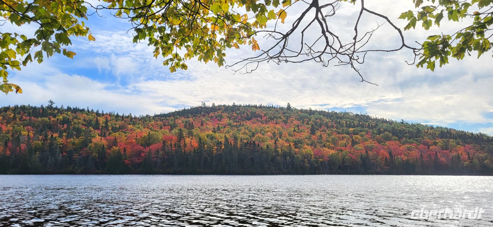 161 Indian Summer