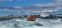 161 Whale Watching Tour Vancouver Island