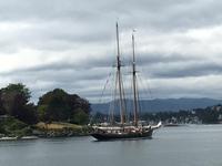 Ein Doppelmaster laeuft in Victoria aus