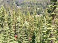 Unterwegs in den Rockys