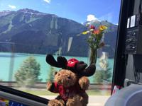 Hardy sitzt im Buero