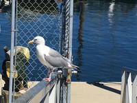 Jonathan war auch da