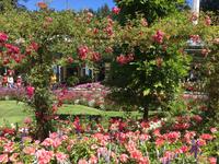 Eingang zu Butchart Gaerten