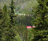 Der lange Zug in der 8ter Schlaufe