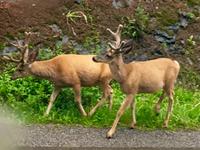 zu zweit ist es schoener