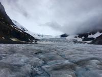 auf dem Athabasca Gletscher