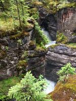 Maligne Canyon