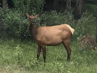 Ach ihr seid auch da !