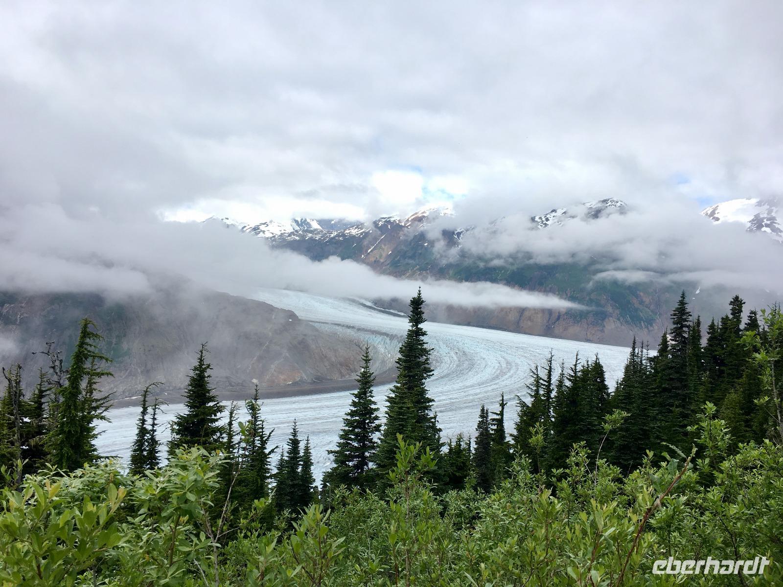 der maechtige Salmon Glacier