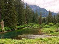 am Fish Creek in Hyder Alaska