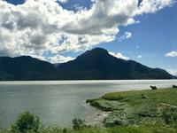 ein Fluss wie ein Meeresarm