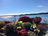 The Pacific Ocean we love !