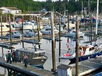 die Fischer kommen heim