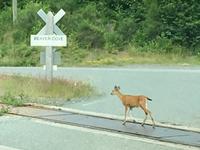 wie weit ist es denn noch ?