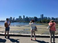 das beste Bild wird geknipst