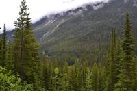 Yoho National Park - Spiral Tunnels