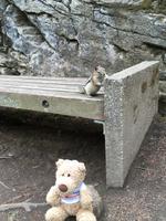 Banff National Park - Johnston Canyon