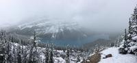 Fotostopp am Peyto Lake