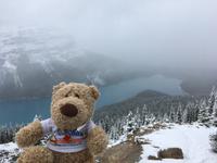 Fotostopp am Peyto Lake