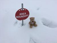 Auf dem Athabasca Glacier