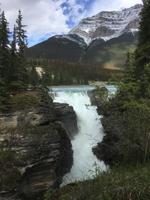 Jasper National Park - Sunwapta Falls