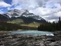 Jasper National Park - Sunwapta Falls