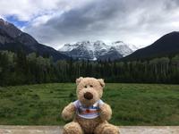 Mount Robson Park