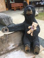 Vancouver Island - Neue Freunde