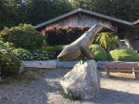 Pacific Rim National Park - Visitor Centre