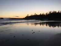Pacific Rim National Park - Abendspaziergang am Chesterman Beach