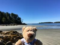 Tofino - Spaziergang zum Tonquin Beach