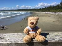 Pacific Rim National Park - Wickaninnish Beach