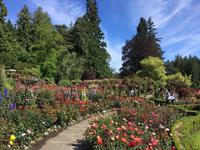 Victoria - Butchart Gardens