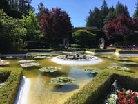 Victoria - Butchart Gardens