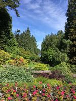 Victoria - Butchart Gardens