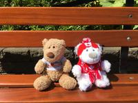 Victoria - Butchart Gardens - Liebe auf den ersten Bärenblick