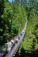 Ausflug in den Norden Vancouvers - Capilano Suspension Bridge