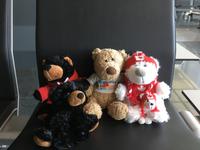 Mein Reisebär mit seiner neuen Großfamilie