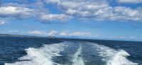 163 Whale Watching Tour Vancouver Island