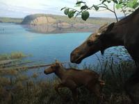 164 Algonquin Park