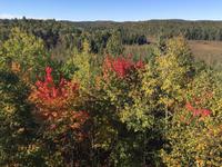 165 Algonquin Park