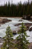 48. Natural Bridge über den Fluss Kicking Horse