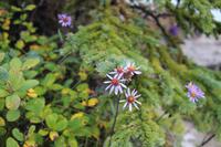 56. An den Takakkwa Falls