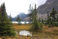 77. Bow Lake