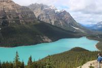 80. Peyto Lake